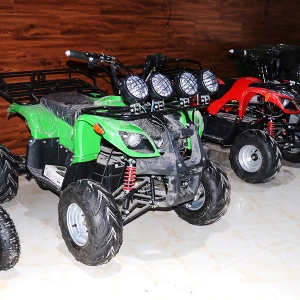 雪地摩托卡丁車(chē)